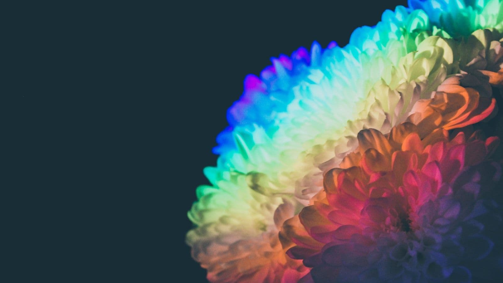 דפוס מופשט רב-צבעוני — המוח המבוזר